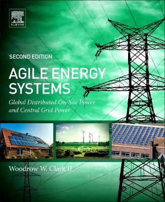 Agile Energy Systems: On-site Power and Central Grid | Zookal Textbooks | Zookal Textbooks
