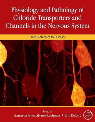 Physiology and Pathology of chloride transporters and channels  in the nervous system | Zookal Textbooks | Zookal Textbooks