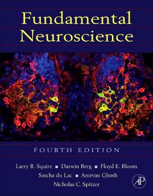 Fundamental Neuroscience, 4e | Zookal Textbooks | Zookal Textbooks