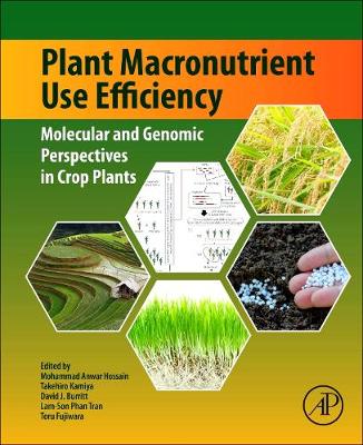Plant Macro-Nutrient Use Efficiency: Molecuar and Genomic Perspectives in Crop Plants | Zookal Textbooks | Zookal Textbooks