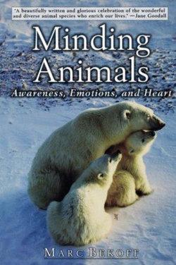 Minding Animals | Zookal Textbooks | Zookal Textbooks