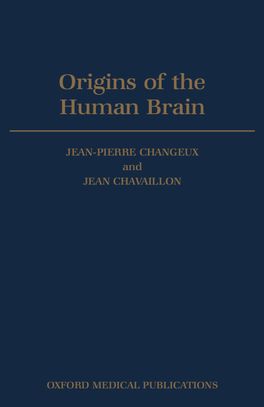 Origins of the Human Brain | Zookal Textbooks | Zookal Textbooks