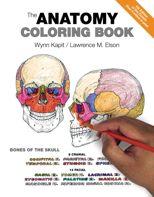 The Anatomy Coloring Book | Zookal Textbooks | Zookal Textbooks