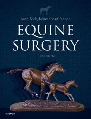 Equine Surgery | Zookal Textbooks | Zookal Textbooks