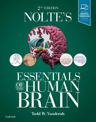 Essentials of the Human Brain | Zookal Textbooks | Zookal Textbooks