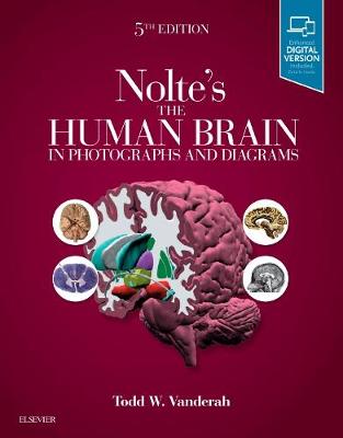 Nolte's The Human Brain in Photographs and Diagrams | Zookal Textbooks | Zookal Textbooks