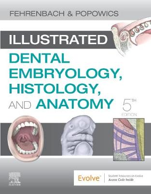 Illustrated Dental Embryology, Histology, and Anatomy | Zookal Textbooks | Zookal Textbooks