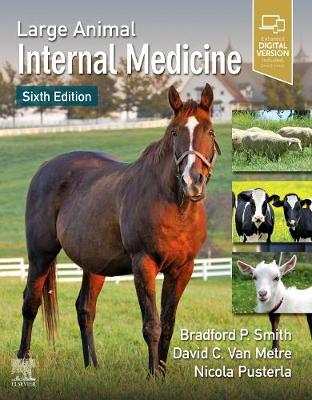 Large Animal Internal Medicine | Zookal Textbooks | Zookal Textbooks