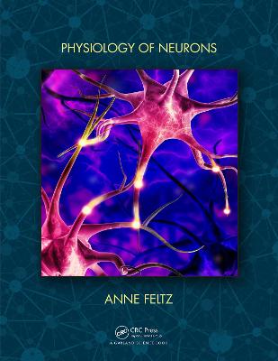 Physiology of Neurons | Zookal Textbooks | Zookal Textbooks