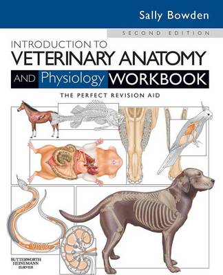 Introduction to Veterinary Anatomy and Physiology Workbook 2E | Zookal Textbooks | Zookal Textbooks