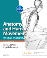 Anatomy and Human Movement: Structure and function | Zookal Textbooks | Zookal Textbooks