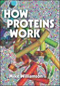 How Proteins Work | Zookal Textbooks | Zookal Textbooks