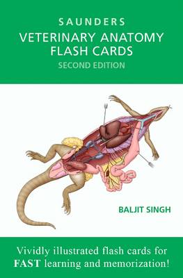 Veterinary Anatomy Flash Cards 2E | Zookal Textbooks | Zookal Textbooks
