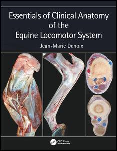 Essentials of Clinical Anatomy of the Equine Locomotor System | Zookal Textbooks | Zookal Textbooks