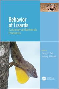 Behavior of Lizards | Zookal Textbooks | Zookal Textbooks