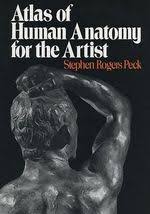 Atlas of Human Anatomy for the Artist | Zookal Textbooks | Zookal Textbooks