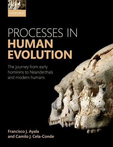 Processes in Human Evolution | Zookal Textbooks | Zookal Textbooks