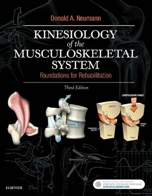 Kinesiology of the Musculoskeletal System 3e | Zookal Textbooks | Zookal Textbooks