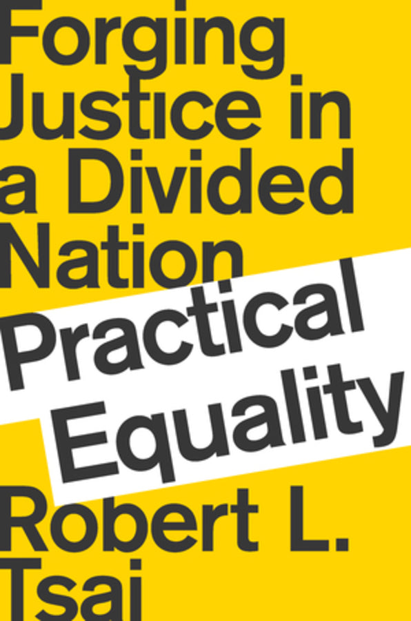 Practical Equality | Zookal Textbooks | Zookal Textbooks
