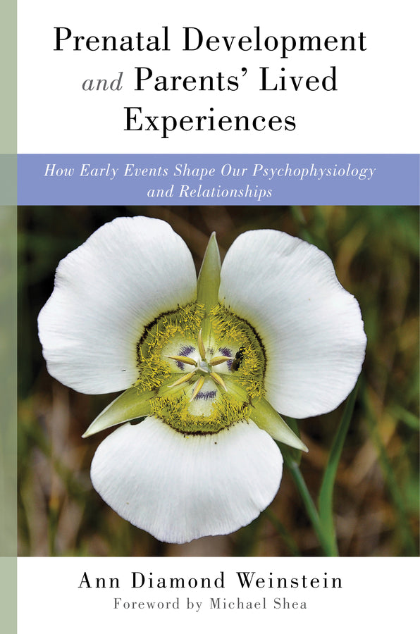 Prenatal Development and Parents' Lived Experiences | Zookal Textbooks | Zookal Textbooks