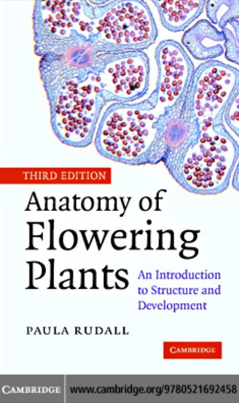 Anatomy of Flowering Plants | Zookal Textbooks | Zookal Textbooks