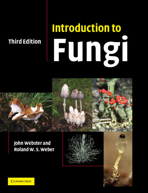 Introduction to Fungi | Zookal Textbooks | Zookal Textbooks