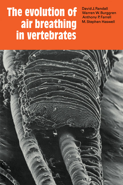 The Evolution of Air Breathing in Vertebrates | Zookal Textbooks | Zookal Textbooks