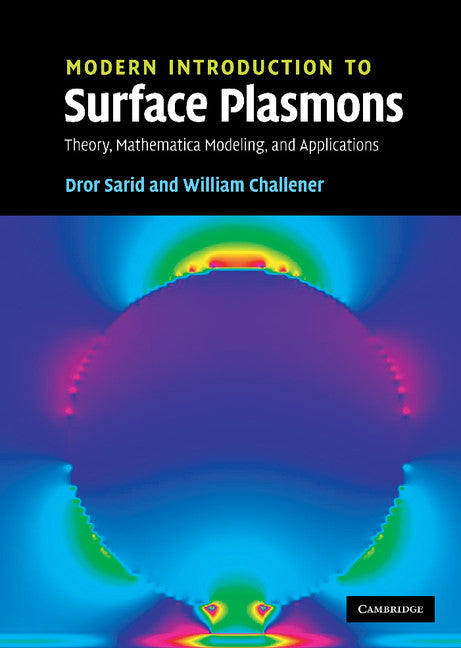 Modern Introduction to Surface Plasmons | Zookal Textbooks | Zookal Textbooks