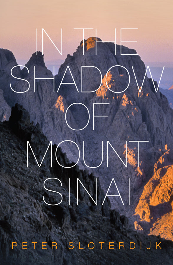 In The Shadow of Mount Sinai | Zookal Textbooks | Zookal Textbooks