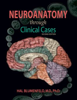 Neuroanatomy through Clinical Cases | Zookal Textbooks | Zookal Textbooks