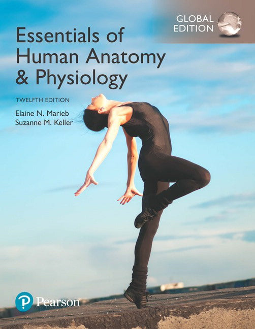 Essentials of Human Anatomy & Physiology, Global Edition | Zookal Textbooks | Zookal Textbooks