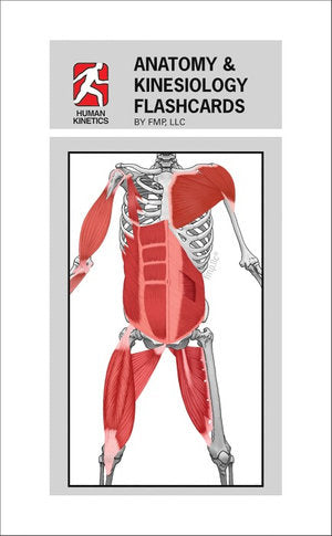 Anatomy & Kinesiology Flashcards | Zookal Textbooks | Zookal Textbooks