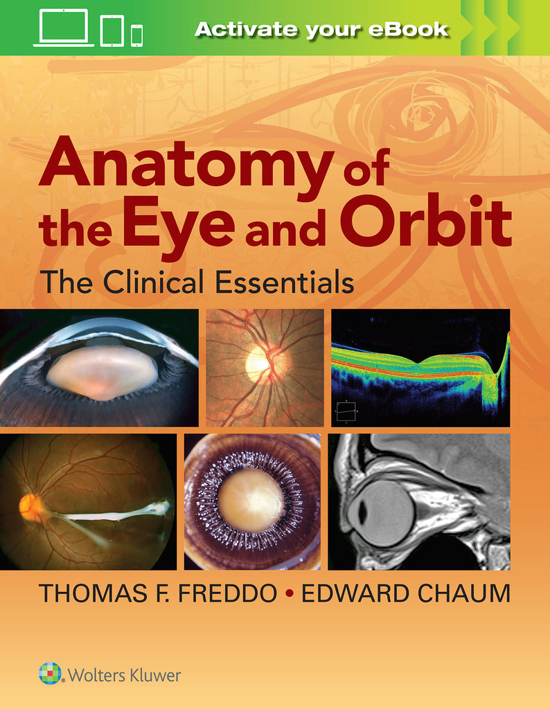 Anatomy of the Eye and Orbit | Zookal Textbooks | Zookal Textbooks