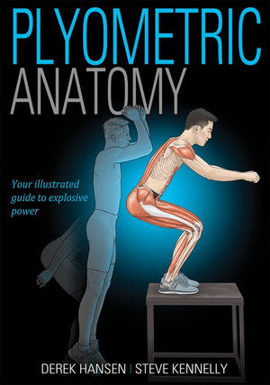 Plyometric Anatomy | Zookal Textbooks | Zookal Textbooks