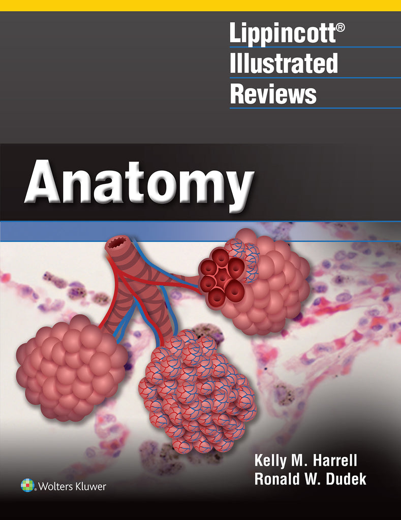 Lippincott Illustrated Review: Anatomy | Zookal Textbooks | Zookal Textbooks