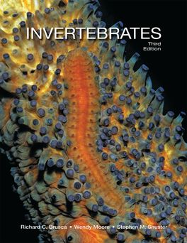 Invertebrates | Zookal Textbooks | Zookal Textbooks