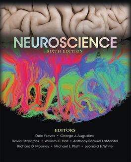 Neuroscience | Zookal Textbooks | Zookal Textbooks