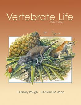 Vertebrate Life | Zookal Textbooks | Zookal Textbooks