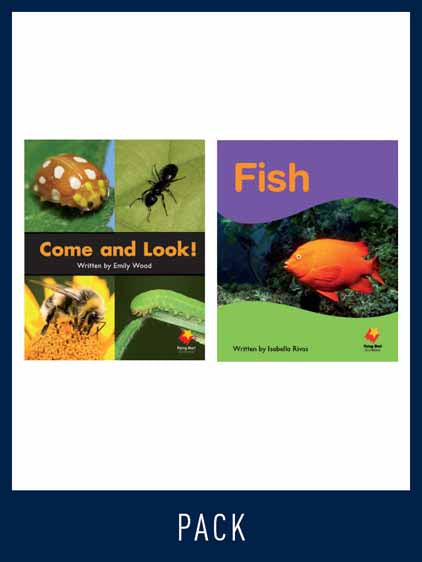 Flying Start Guided Reading Level 2, Pack 12 | Zookal Textbooks | Zookal Textbooks