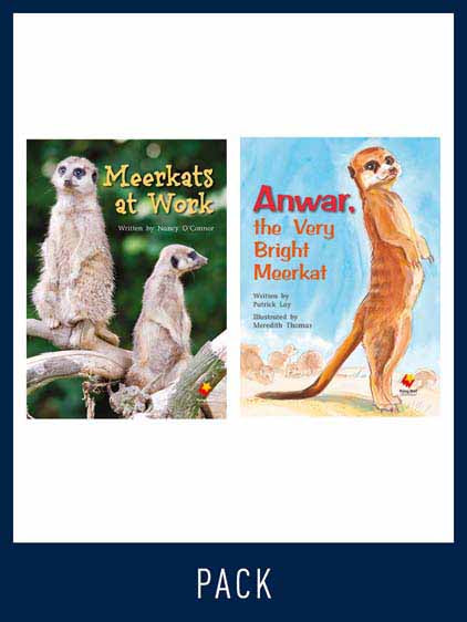 Flying Start Guided Reading Level 21, Pack 1 | Zookal Textbooks | Zookal Textbooks