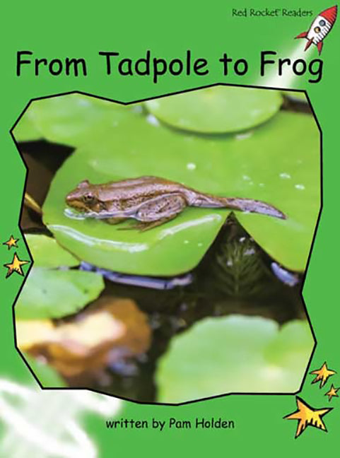 Red Rocket Readers: Early Level 4 Non-Fiction Set C: From Tadpole to Frog Big Book Edition (Reading Level 12/F&P Level H) | Zookal Textbooks | Zookal Textbooks